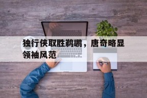 满冠体育手机版-独行侠取胜鹈鹕，唐奇略显领袖风范的简单介绍