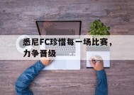 满冠体育客户端-悉尼FC珍惜每一场比赛，力争晋级